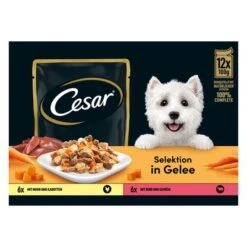 Cesar Selección Carne Con Verduras En Gelatina -Mascota Tienda 250998 mars cesar selektion fleisch gemuesegelee hs 04 3