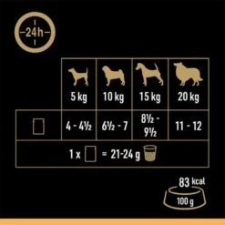 Cesar Selección Carne Con Verduras En Gelatina -Mascota Tienda 250998 mars cesar selektion fleisch gemuesegelee hs 08 6