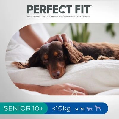 Perfect Fit Senior Small Dogs (<10 Kg) Pienso Para Perros 7 Perfect Fit Senior Small Dogs (<10 Kg) Pienso Para Perros - Imagen 5