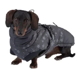 Abrigo Largo Reflecting Stars Para Perros -Mascota Tienda 262001 hundemantel reflecting stars fg 1916 4