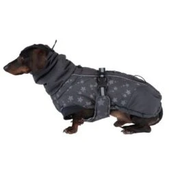 Abrigo Largo Reflecting Stars Para Perros -Mascota Tienda 262001 hundemantel reflecting stars fg 1922 4
