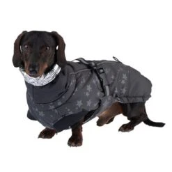 Abrigo Largo Reflecting Stars Para Perros -Mascota Tienda 262001 hundemantel reflecting stars fg 1934 2