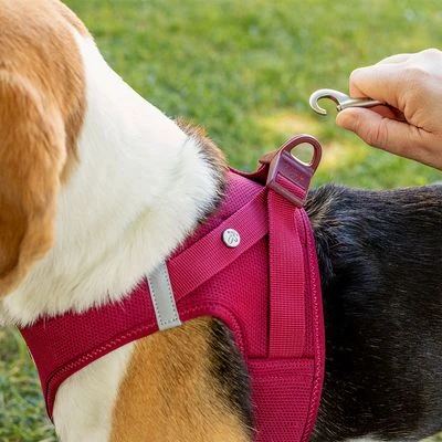 Arnés Curli Vest Clasp Air-Mesh Fucsia Para Perros - Imagen 4