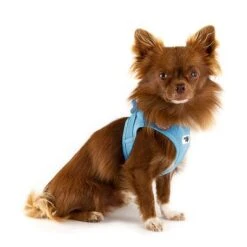 Arnés Curli Vest Clasp Air-Mesh Azul Cielo Para Perros -Mascota Tienda 267596 267597 267598 267308 curli vest geschirr clasp airmesh himmelblau hs 03 1