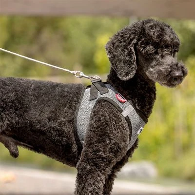 Correa De Bolsillo Curli Ultrarresistente 8 Correa De Bolsillo Curli Ultrarresistente - Imagen 6