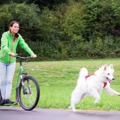 Correa De Bolsillo Curli Ultrarresistente 15 Correa De Bolsillo Curli Ultrarresistente -Mascota Tienda 267896 267897 ultrastarke taschenleine hs 07 2