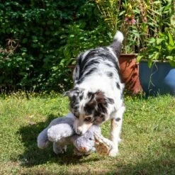 Conejo Elsie De Peluche Para Perros -Mascota Tienda 267996 elsie mit hund fg 3306 3