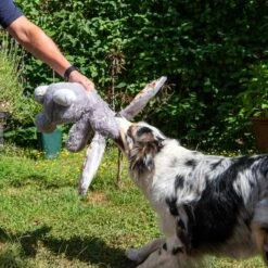 Conejo Elsie De Peluche Para Perros -Mascota Tienda 267996 elsie mit hund fg 3309 7