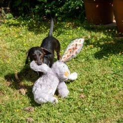 Conejo Elsie De Peluche Para Perros -Mascota Tienda 267996 elsie mit hund fg 3339 8