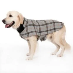 Abrigo Flannel Check Para Perros -Mascota Tienda 269071 flannel check 60cm fg 2346 8