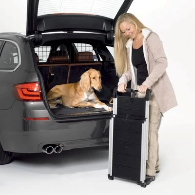 Rampa Kleinmetall DogWalk3 Con Asa Y Cierre Para Perros - Imagen 2