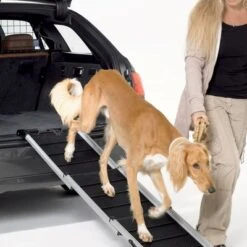 Rampa Kleinmetall DogWalk3 Con Asa Y Cierre Para Perros -Mascota Tienda 274498 kleinmetall hunderamoe dogwalk3 mit griff und verschluss hs 05 9