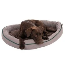 Cama Antibacteriana London Modern Living Para Perros -Mascota Tienda 274564 labrador fg 2881 0