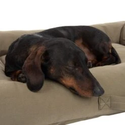 Cama Toronto Modern Living EcoLIFE Para Perros -Mascota Tienda 274567 hundebett toronto ecolife 80x60cm hs 19 9
