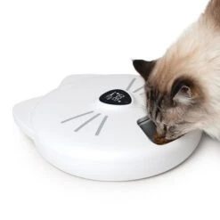 Comedero Automático Catit Pixi Smart 6-Meal -Mascota Tienda 287496 hagencontainer catit pixi smart 6meal futterautomat hs 11 2