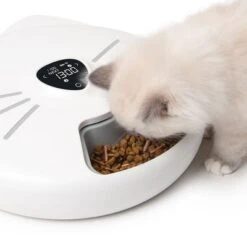 Comedero Automático Catit Pixi Smart 6-Meal -Mascota Tienda 287496 hagencontainer catit pixi smart 6meal futterautomat hs 12 6