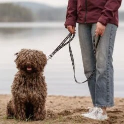 Correa Ajustable Hurtta Bare Carbón Para Perros 8 Correa Ajustable Hurtta Bare Carbón Para Perros -Mascota Tienda 288348 hurtta bare verstellbare fuehrleine coal hs 02 1