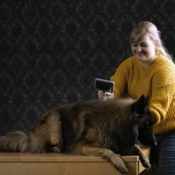 Carda Grande Moser Para Mascotas -Mascota Tienda 289696 moser grosse zupfbuerste hs 03 5