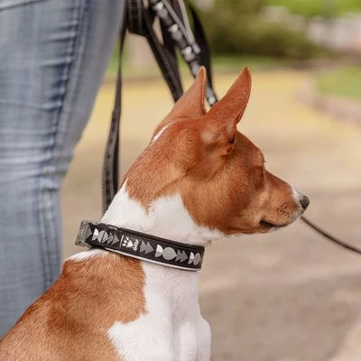 Collar Hurtta Bare Carbón Para Perros - Imagen 4