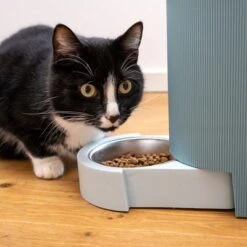 TIAKI Tolva Para Pienso Y Agua, Azul Claro Para Mascotas -Mascota Tienda 302496 duo napf mit katze fg 1019 0