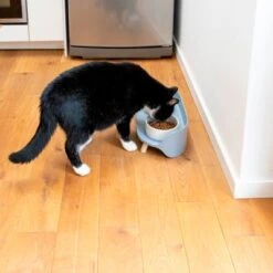 TIAKI Comedero Doble De Cerámica Para Mascotas -Mascota Tienda 302496 tiaki keramiknapf duo 9