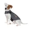 Chaleco Tranquilizante ThunderShirt® Gris Para Perros 2 Chaleco Tranquilizante ThunderShirt® Gris Para Perros -Mascota Tienda 302696 302697 302796 302797 302896 cevadeutschland thundershirt beruhigungsweste grau hs 03 5