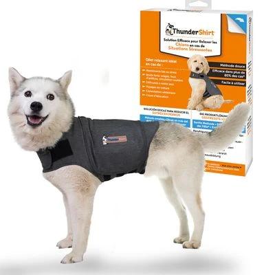 Chaleco Tranquilizante ThunderShirt® Gris Para Perros 14 Chaleco Tranquilizante ThunderShirt® Gris Para Perros - Imagen 12