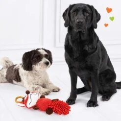 Doglove Zorro De Juguete Para Perros -Mascota Tienda 303196 edupet doglove hundespielzeug fuchs hs 05 9