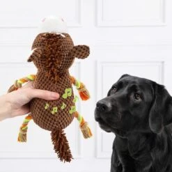 Doglove Caballo De Juguete Para Perros -Mascota Tienda 303597 edupet doglove hundespielzeug pferd hs 03 7