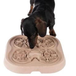 TIAKI Slow Feed Puzzle Juego De Inteligencia Para Perros -Mascota Tienda 307596 intelligenzspielzeug slow feed puzzle fg 4966 1