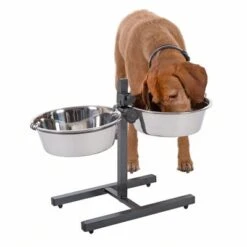 Soporte Ajustable Con 2 Comederos Incluidos -Mascota Tienda 313523 kumar hundebar inklusive 2 edelstahln pfe 03 dsc5878 8
