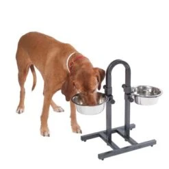 Soporte Ajustable Con Dos Comederos De 1,6 L -Mascota Tienda 313525 u hundebar 05 dsc9197 9