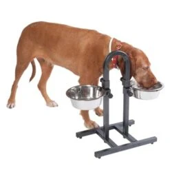 Soporte Ajustable Con Dos Comederos De 1,6 L -Mascota Tienda 313525 u hundebar 06 dsc9199 3