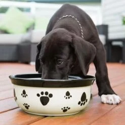 Vet's Best® Dental Refrescante De Aliento Para Perros 6 Vet's Best® Dental Refrescante De Aliento Para Perros -Mascota Tienda 317896 vetsbest dental atemerfrischer hs 03 3