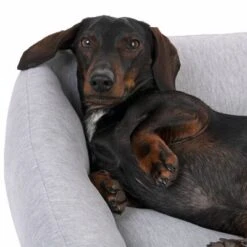 Cama Modern Living Sydney Para Perros -Mascota Tienda 317997 modern living sydney fg 2771 3