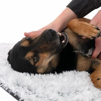 Manta TIAKI Cloud Para Mascotas 13 Manta TIAKI Cloud Para Mascotas - Imagen 11