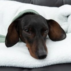 Manta Para Perros Modern Living Victoria 25 Manta Para Perros Modern Living Victoria -Mascota Tienda 318002 decke victoria fg 6055 4