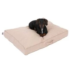 Colchón TIAKI Memory Foam Beige Para Perros -Mascota Tienda 318697 tiaki hundematratze beige fg 5020 2