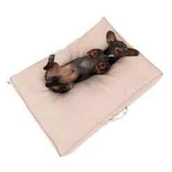 Colchón TIAKI Memory Foam Beige Para Perros -Mascota Tienda 318697 tiaki hundematratze beige fg 5024 1