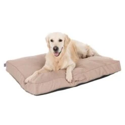 Colchón TIAKI Memory Foam Beige Para Perros -Mascota Tienda 318698 mit hund fg 5093 8
