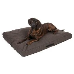 Colchón TIAKI Memory Foam Marrón Para Perros -Mascota Tienda 318702 mit hund fg 5116 0