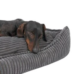 Cama Modern Living Helena Para Perros -Mascota Tienda 320397 hundebett helena grau fg 2233 5