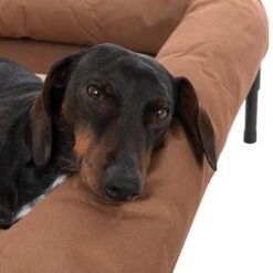 Sofá TIAKI Sun Cream Para Perros -Mascota Tienda 320897 tiaki hundesofa sun cream fg 8401 8