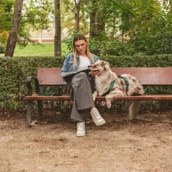 Arnés Nomad Tales Blush Esmeralda Para Perros 34 Arnés Nomad Tales Blush Esmeralda Para Perros -Mascota Tienda 323020 nomad tales blush geschirr emerald 01 7