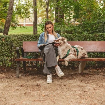 Arnés Nomad Tales Blush Esmeralda Para Perros 15 Arnés Nomad Tales Blush Esmeralda Para Perros - Imagen 13