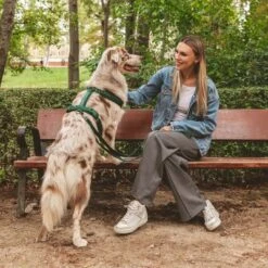 Arnés Nomad Tales Blush Esmeralda Para Perros 30 Arnés Nomad Tales Blush Esmeralda Para Perros -Mascota Tienda 323020 nomad tales blush geschirr emerald 02 8