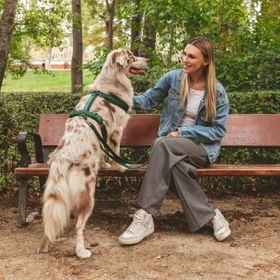 Arnés Nomad Tales Blush Esmeralda Para Perros 11 Arnés Nomad Tales Blush Esmeralda Para Perros - Imagen 9