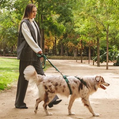 Arnés Nomad Tales Blush Esmeralda Para Perros 20 Arnés Nomad Tales Blush Esmeralda Para Perros - Imagen 18