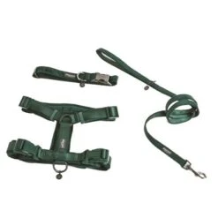 Arnés Nomad Tales Blush Esmeralda Para Perros 28 Arnés Nomad Tales Blush Esmeralda Para Perros -Mascota Tienda 323020 nomad tales blush geschirr emerald 06 0