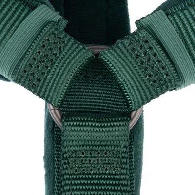 Arnés Nomad Tales Blush Esmeralda Para Perros 12 Arnés Nomad Tales Blush Esmeralda Para Perros - Imagen 10